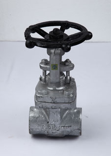 Gate Valve Screwed Ends