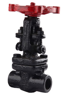 Globe valve screwed ends