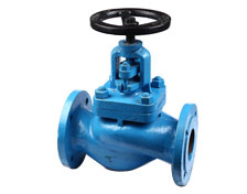 Globe Valve