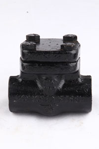 Lift check valve socket weld ends